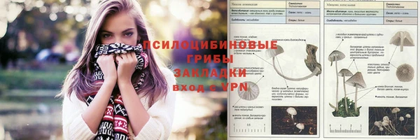 герыч Алексин