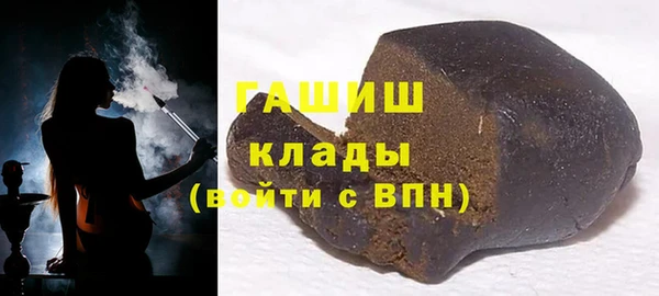 стаф Алзамай