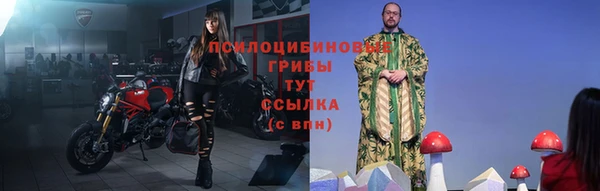 герыч Алексин