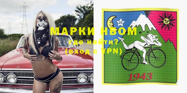 стаф Алзамай