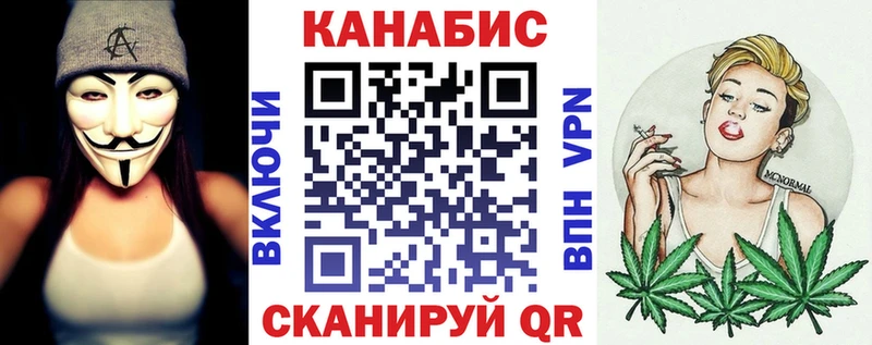 продажа наркотиков  Курган  Каннабис планчик 